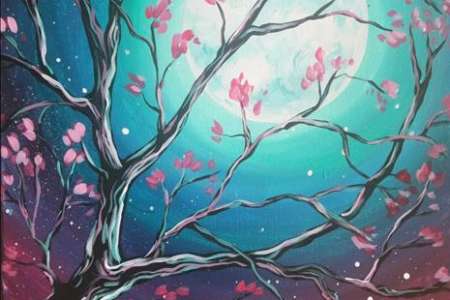 Blooming at Night (Free Drinks!)