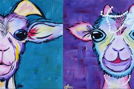 Adorable Goat Portraits