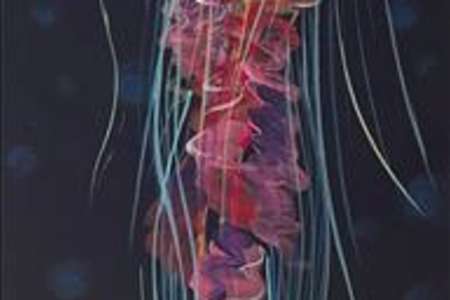 Serene Swimming Jelly