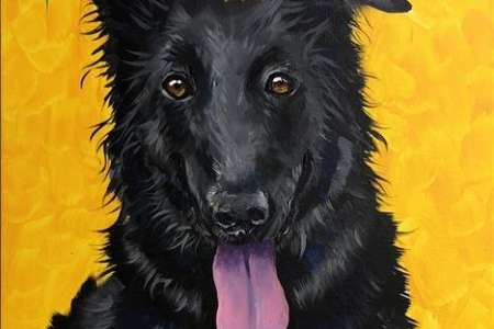 Pet Painting Palooza