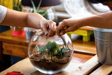 Tequila and Terrarium-Making