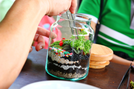 Make Your Own Closed Eco-System Terrarium