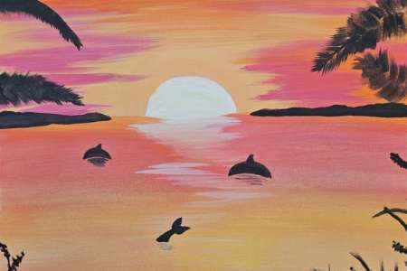 Paradise Dolphins (Outdoor Class!)