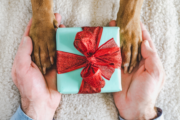 Custom Name Wrapping Paper Puppy Dog Bone Paw Print Dark Green Personalized  Christmas Gift Wrap Paper With Name Funny Gift Wrap For Birthday Christmas