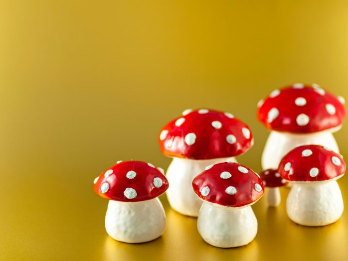 Chicago - ceramic mushrooms Shot