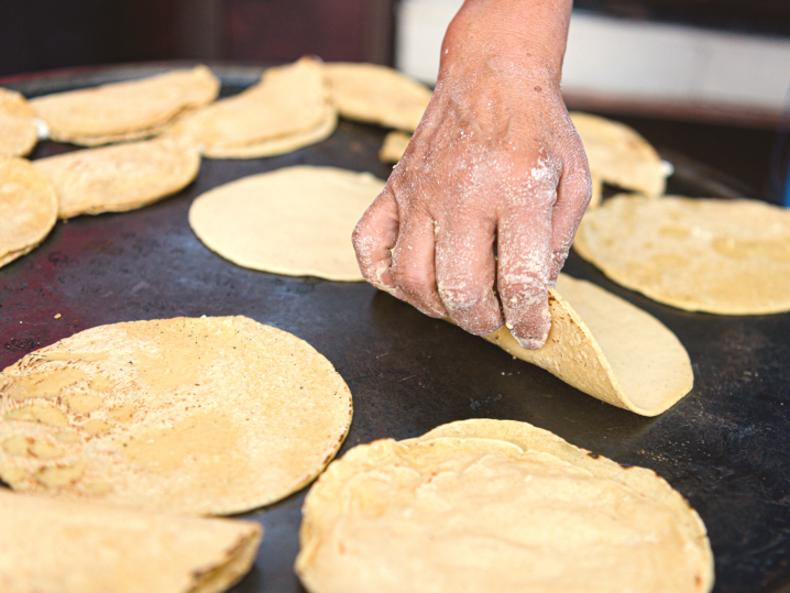 Dallas - fresh corn tortillas Shot