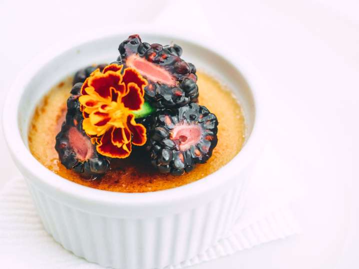 vanilla creme brulee with berries | Classpop Shot