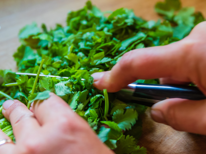 Colorado Springs - cilantro Shot