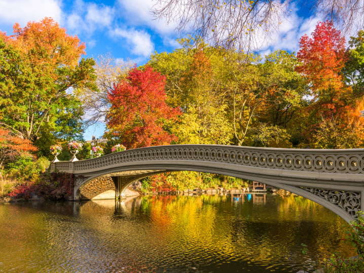 NYC - central park photography class (3) Shot