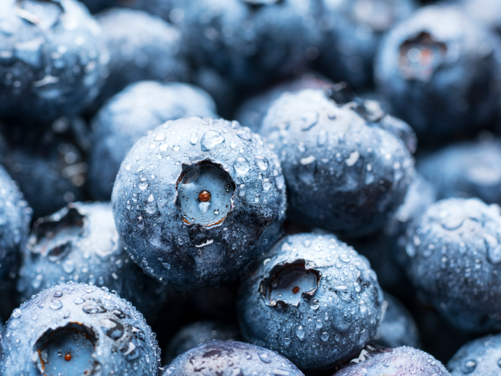 London - blueberries Shot