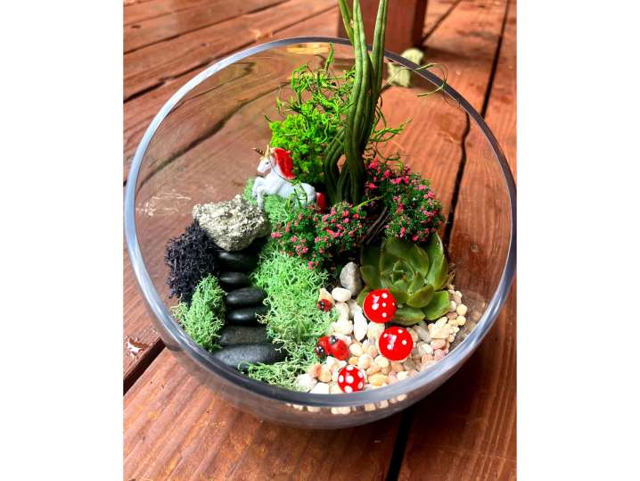 Bay Area - fairy garden terrarium (2) Shot