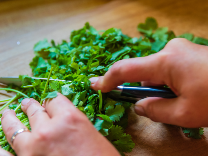 Colorado Springs - cutting cilantro Shot