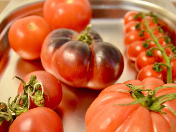 Portland - fresh tomatoes Shot