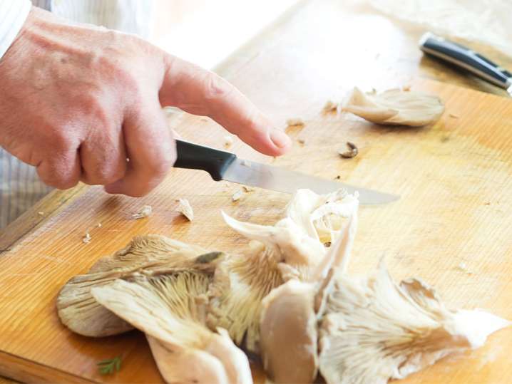 Cutting oyster mushrooms Shot