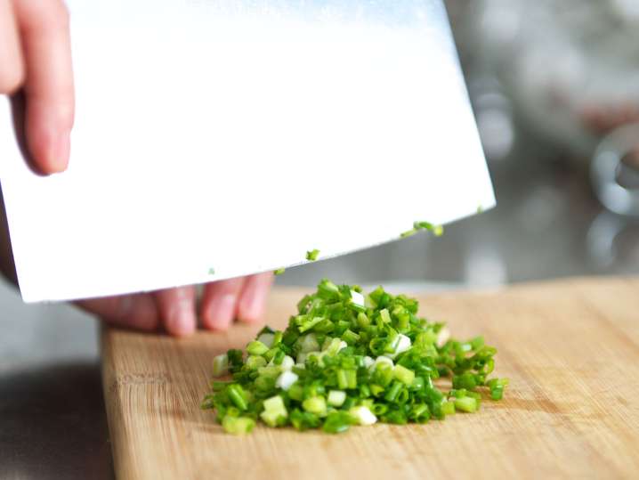 Cutting scallions Shot