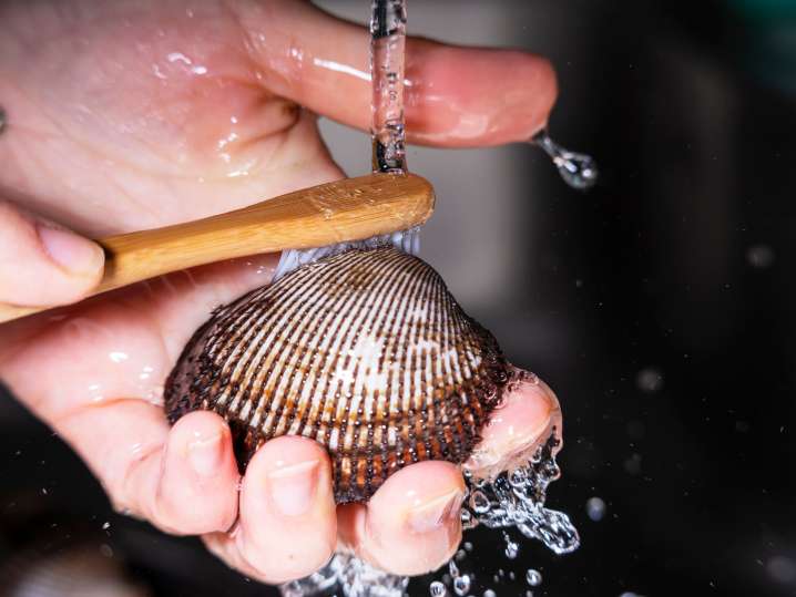 Savannah - rincing fresh clams Shot