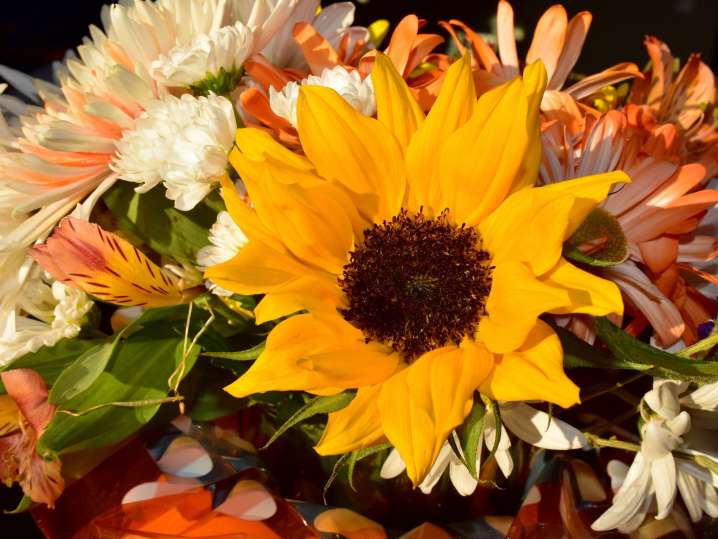 Bay Area - Fall flower bouquet Shot