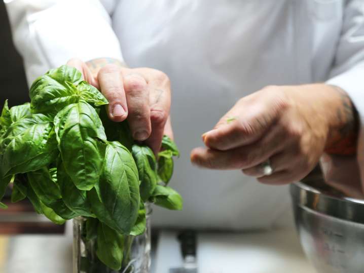 Orlando - chef picking up basil leaves Shot