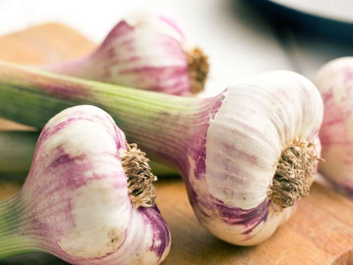 Washington, D.C. - fresh garlic Shot