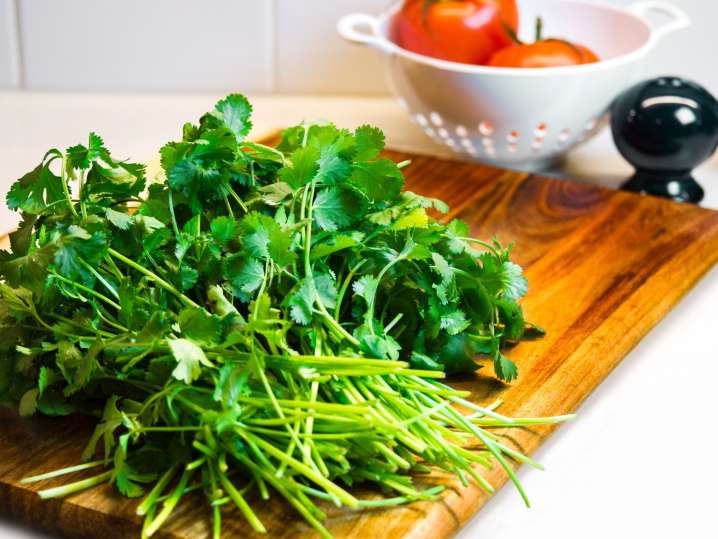 Boston - Fresh cilantro bunch on a wooden cutting board next to a colander with tomatoes Shot