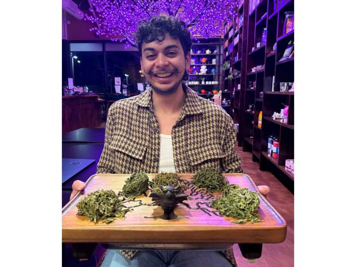 Portland - Person holding a tray with assorted loose-leaf teas in a colorful tea shop setting Shot
