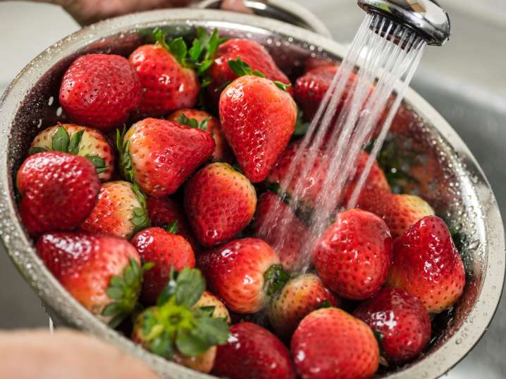 Washington, D.C. - washing strawberries Shot