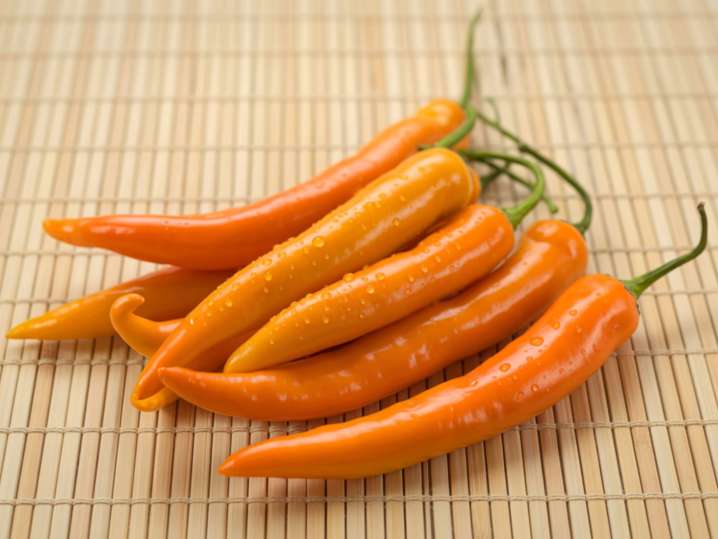 Los Angeles - aji amarillo Shot