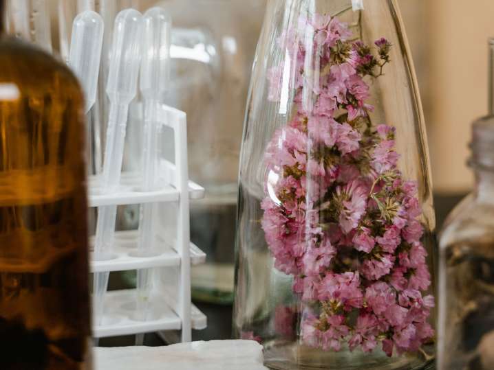 Orlando - flowers and tools for fragrance blending Shot