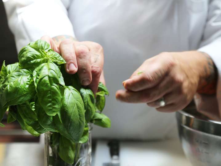 Portland - chef picking fresh basil leaves Shot