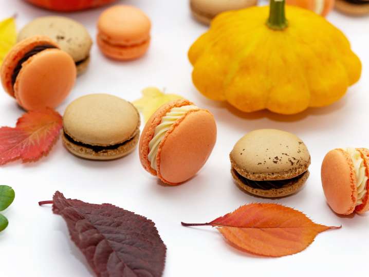 Seattle - fall macarons (2) Shot