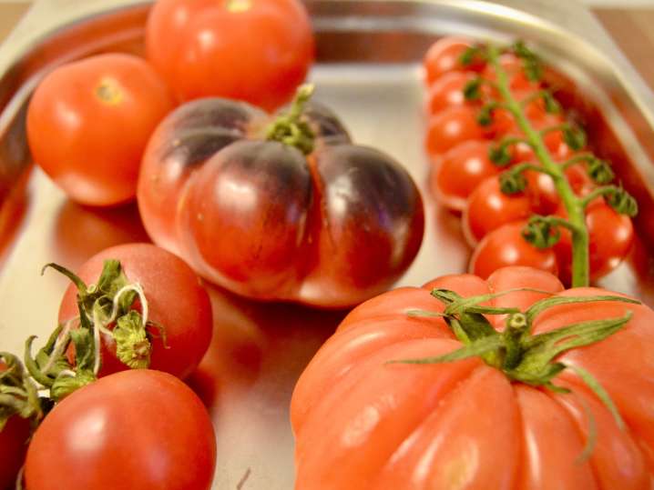 Boston - fresh tomatoes Shot