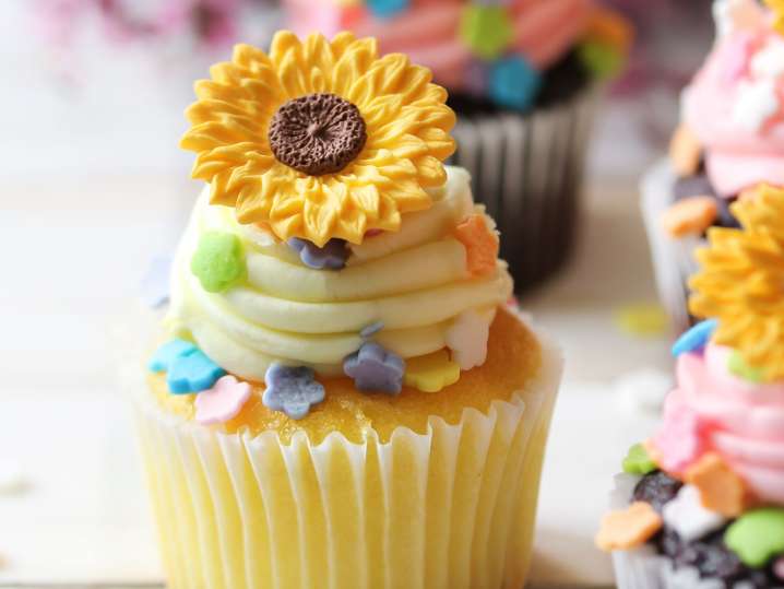 Boston - cupcake art up close Shot
