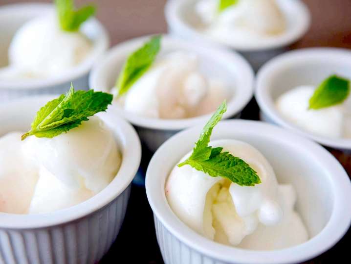 lemon sorbet with mint | Classpop Shot