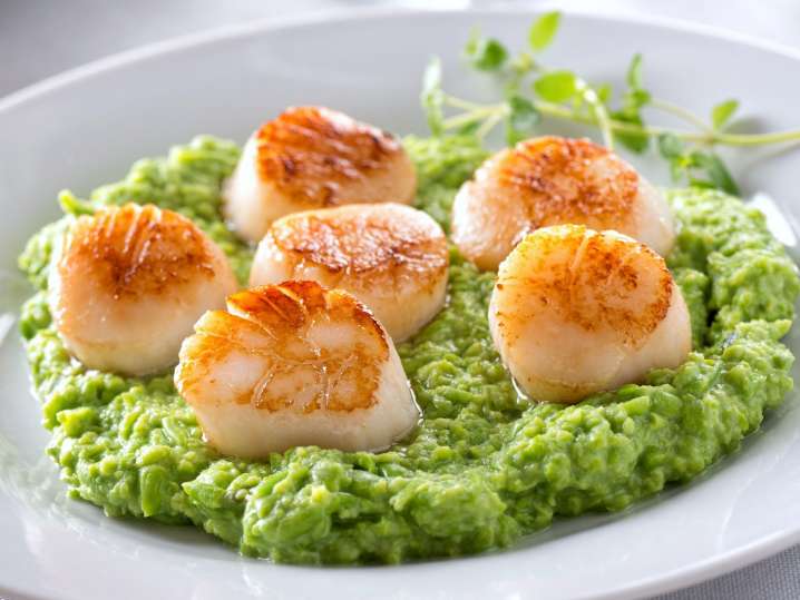 roasted scallops on pea puree | Classpop Shot