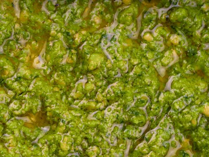 pesto sauce | Classpop Shot