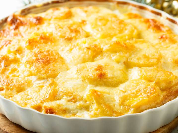 gratin | Classpop Shot