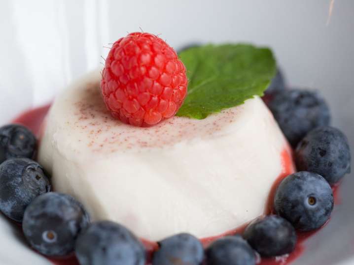 Panna Cotta | Classpop Shot