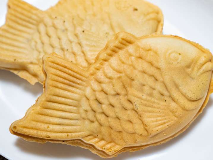 Taiyaki | Classpop Shot