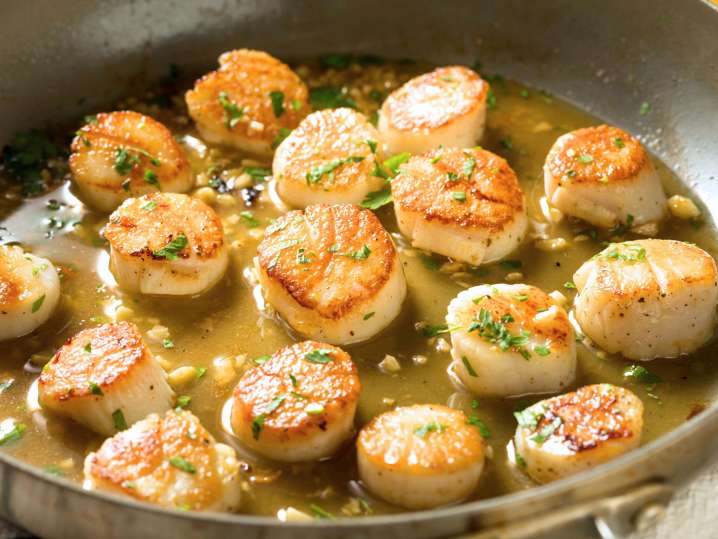 Searing scallops | Classpop Shot