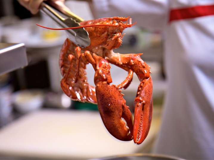 boiling lobster | Classpop Shot