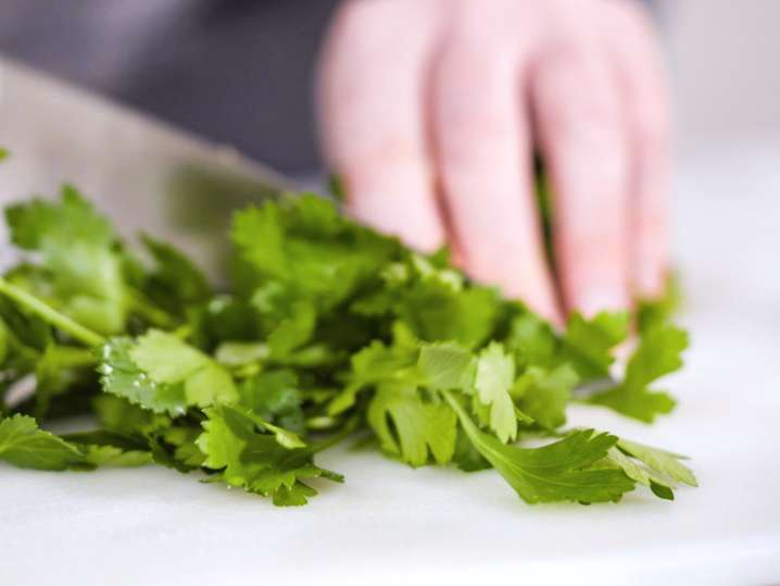cutting cilantro | Classpop Shot