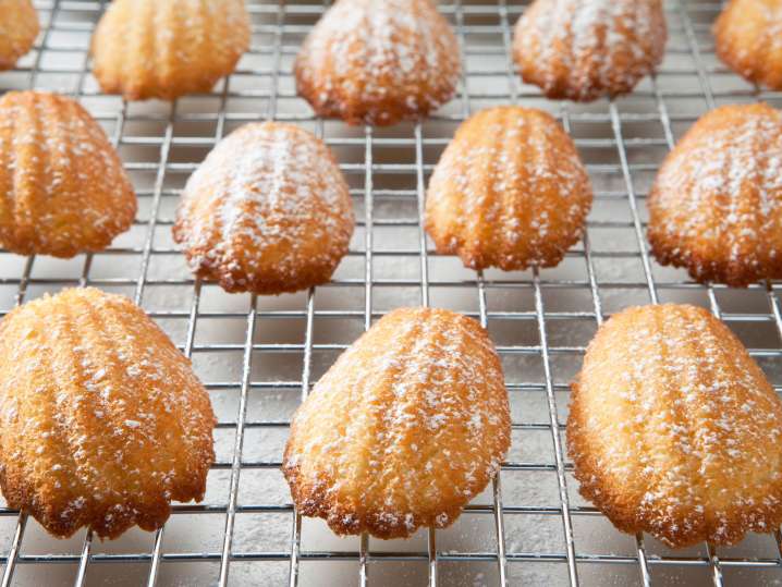 fresh Madeleines on a baking tray | Classpop Shot