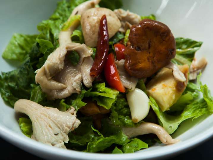 Mushroom salad | Classpop Shot