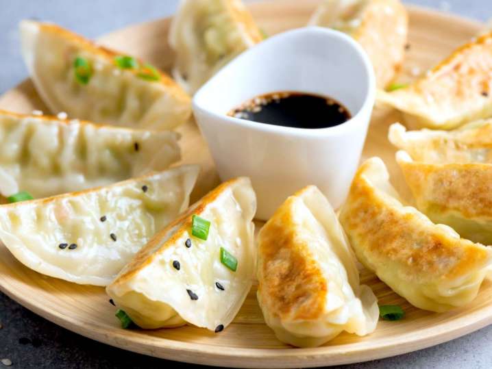 pot sticker dumplings | Classpop Shot