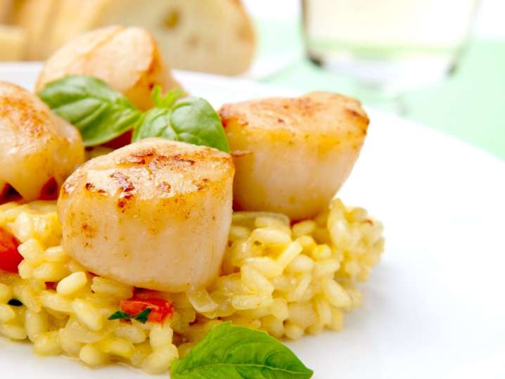 scallop risotto | Classpop Shot