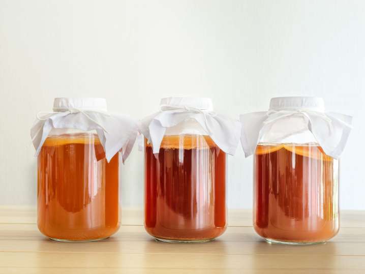 kombucha | Classpop Shot