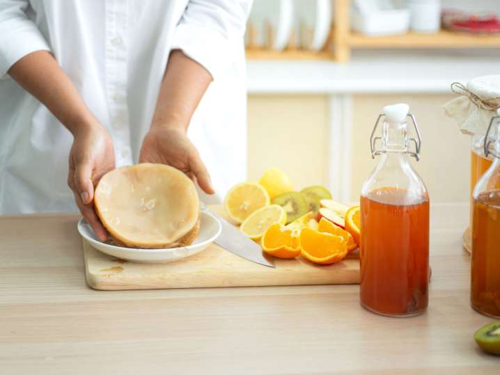 making kombucha using scoby | Classpop Shot