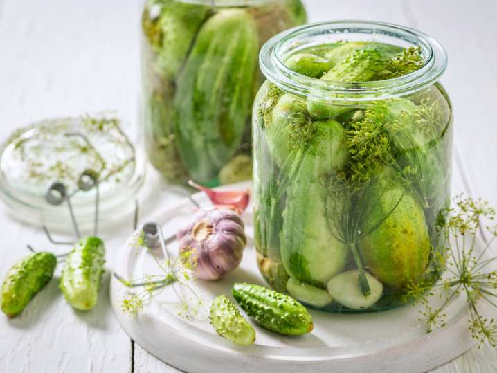 making quick dill pickle | Classpop Shot