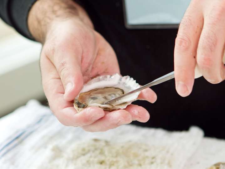 opening oysters | Classpop Shot