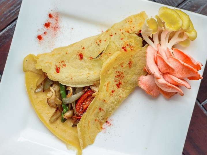 savory crepes on a plate with vegetables Shot